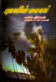 புயலின் மையம்